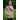Mayflower Tunika - Klänning Stick-mönster strl. 4 år - 12 år