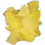 Dun, gul, storlek 7-8 cm, 500 g/ 1 pk.