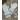 Wild Blueberrie Mittens by DROPS Design - Vantar Stick-mönster strl. 12/18 mån - 5/6 år