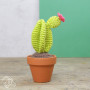Gör det själv/DIY set Cacti virkning