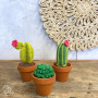 Gör det själv/DIY set Cacti virkning